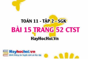 Bài 15 trang 52 Toán 11 tập 2 Chân trời sáng tạo